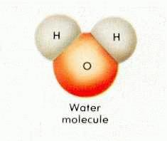 水分子