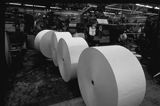 纸生产